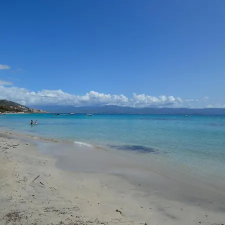 Σπίτι διακοπών In Mezzavia With Outdoor Swimming Pool Αζάτσιο